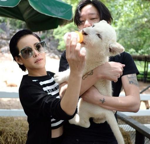 หนิง ปณิตา จิน