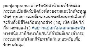 ข้อความจากปั้นจั่น