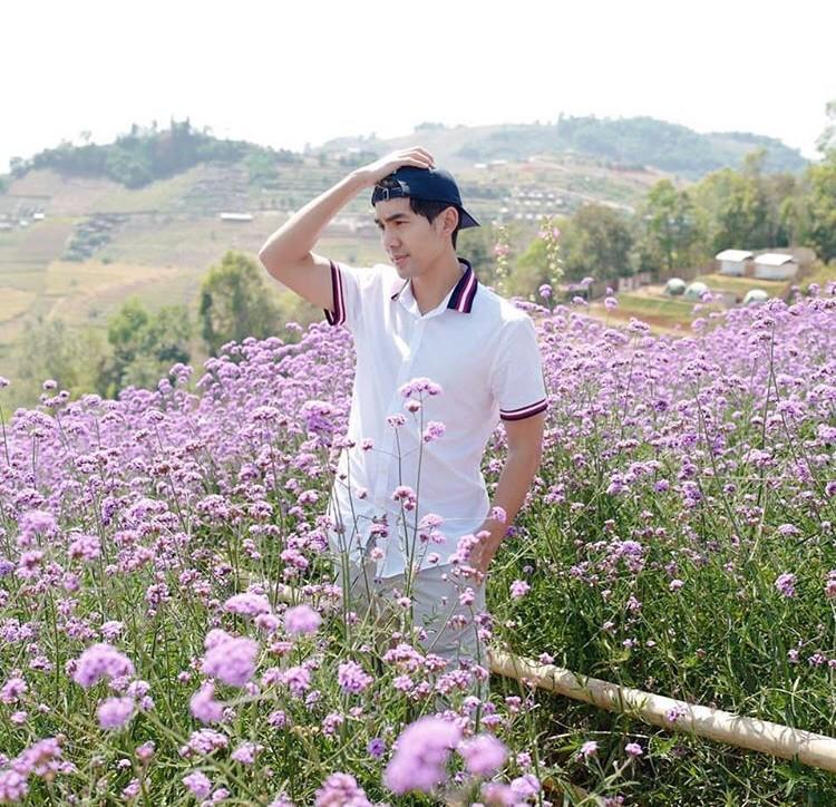 ใหม่ ดาวิกา - เต๋อ ฉันทวิชช์
