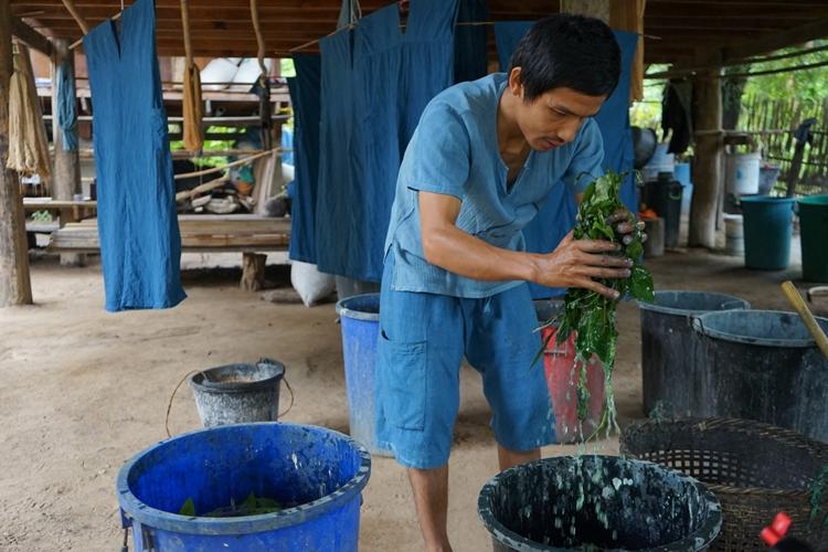 Thai Natural Dye Collection