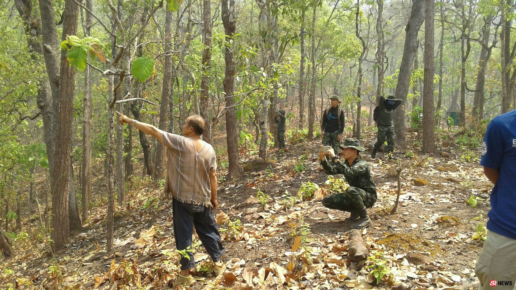 ดับไฟป่า 