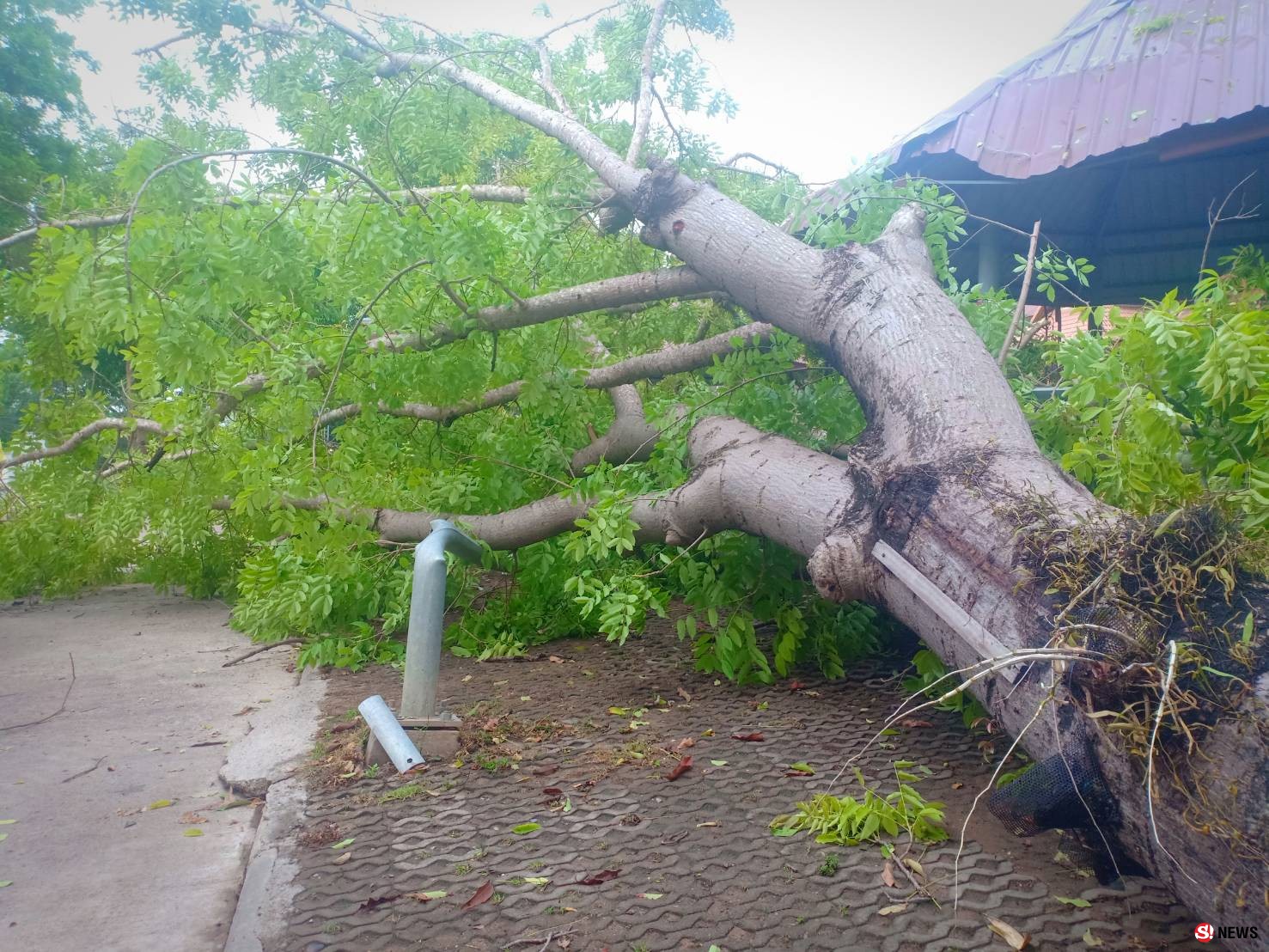 พายุฤดูร้อนถล่มตำรวจพังยับ