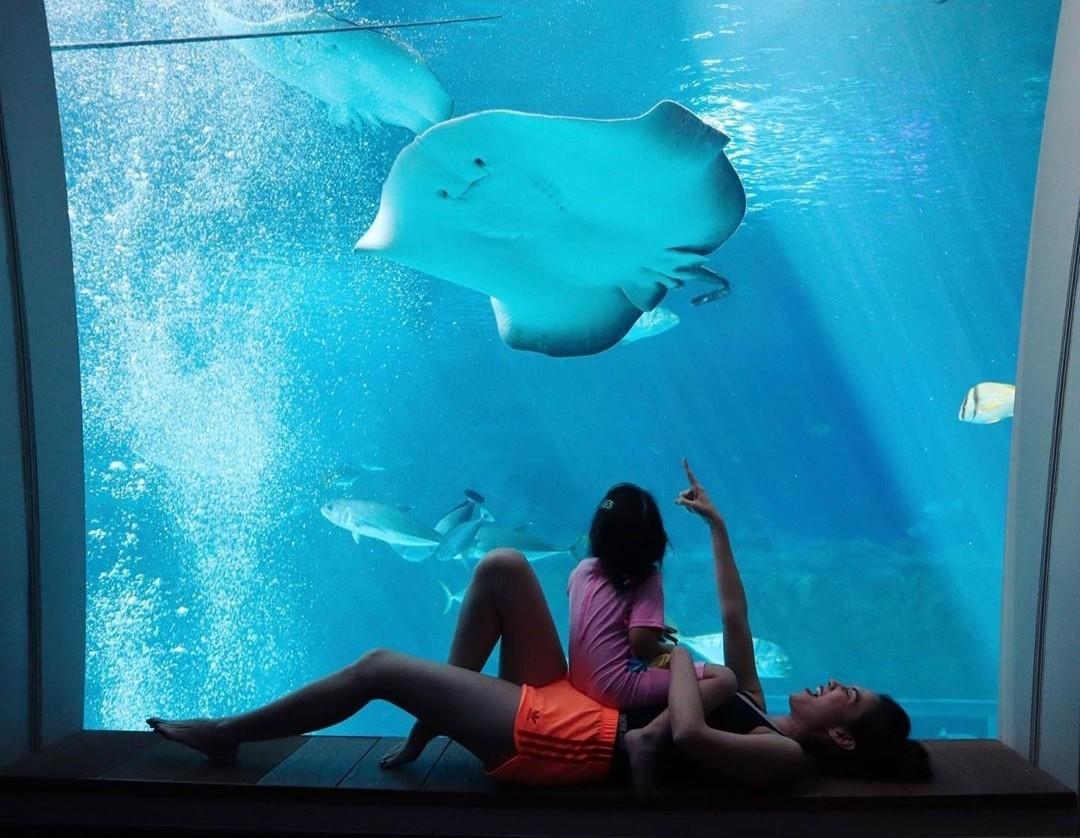 เมย์ ปทิดา