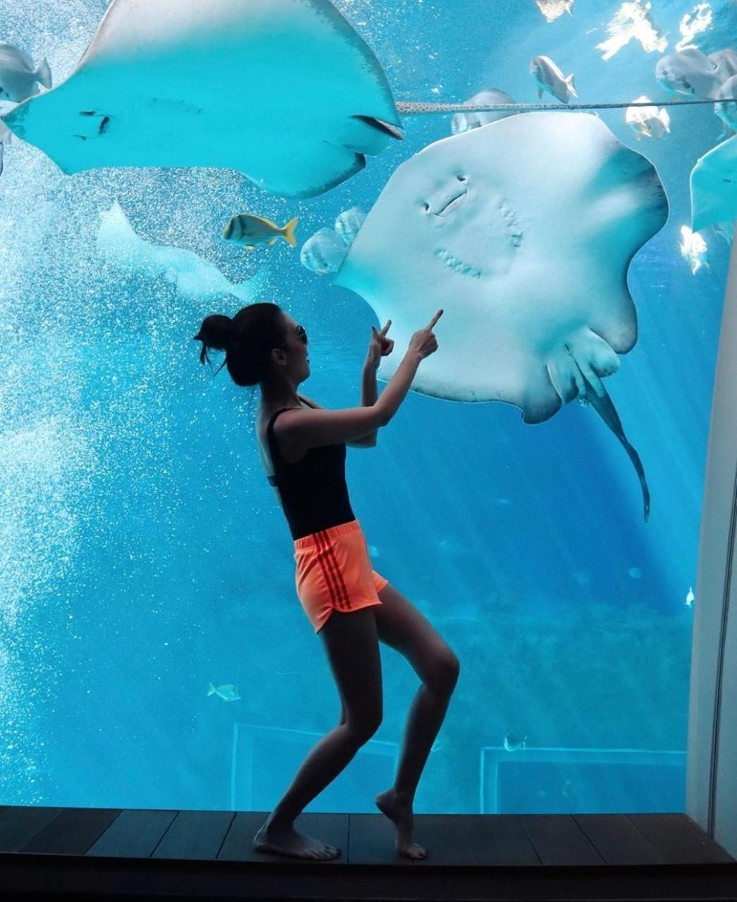 เมย์ ปทิดา