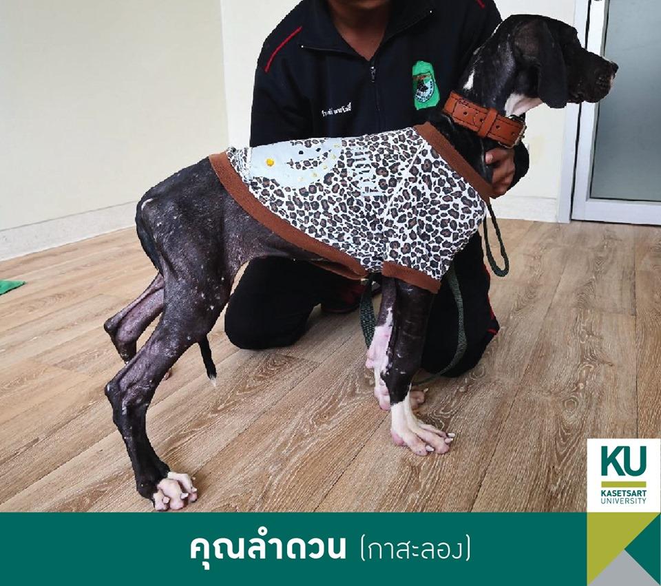 คุณลำดวน