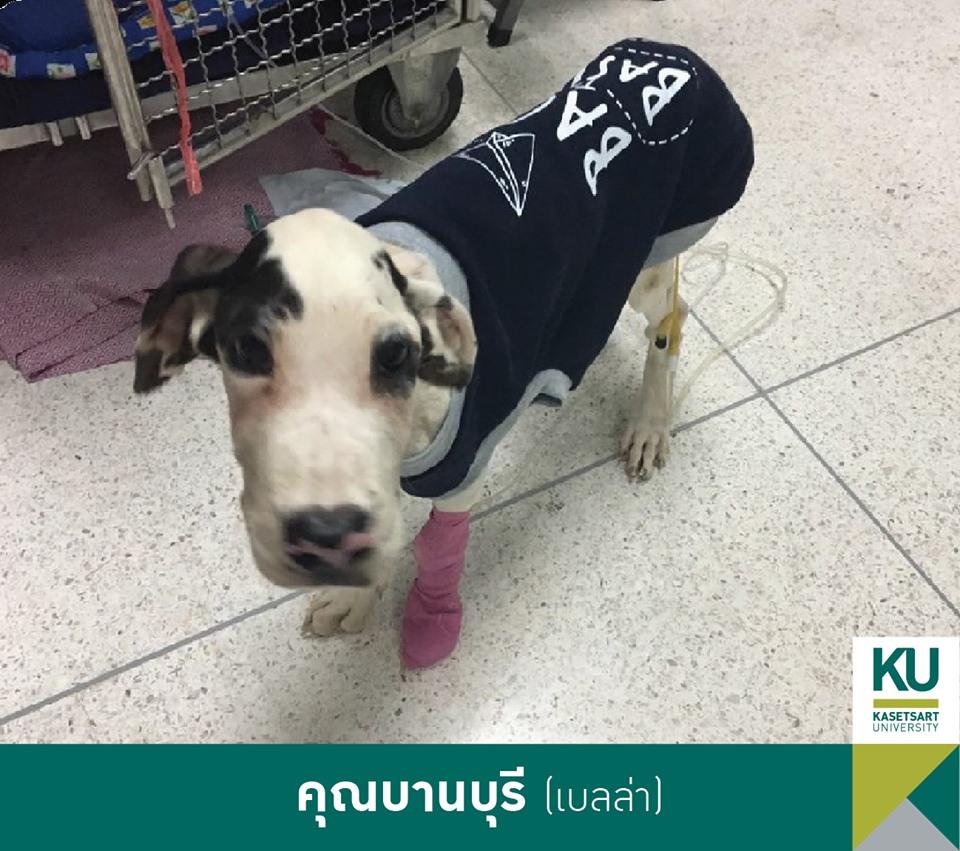 คุณบานบุรี