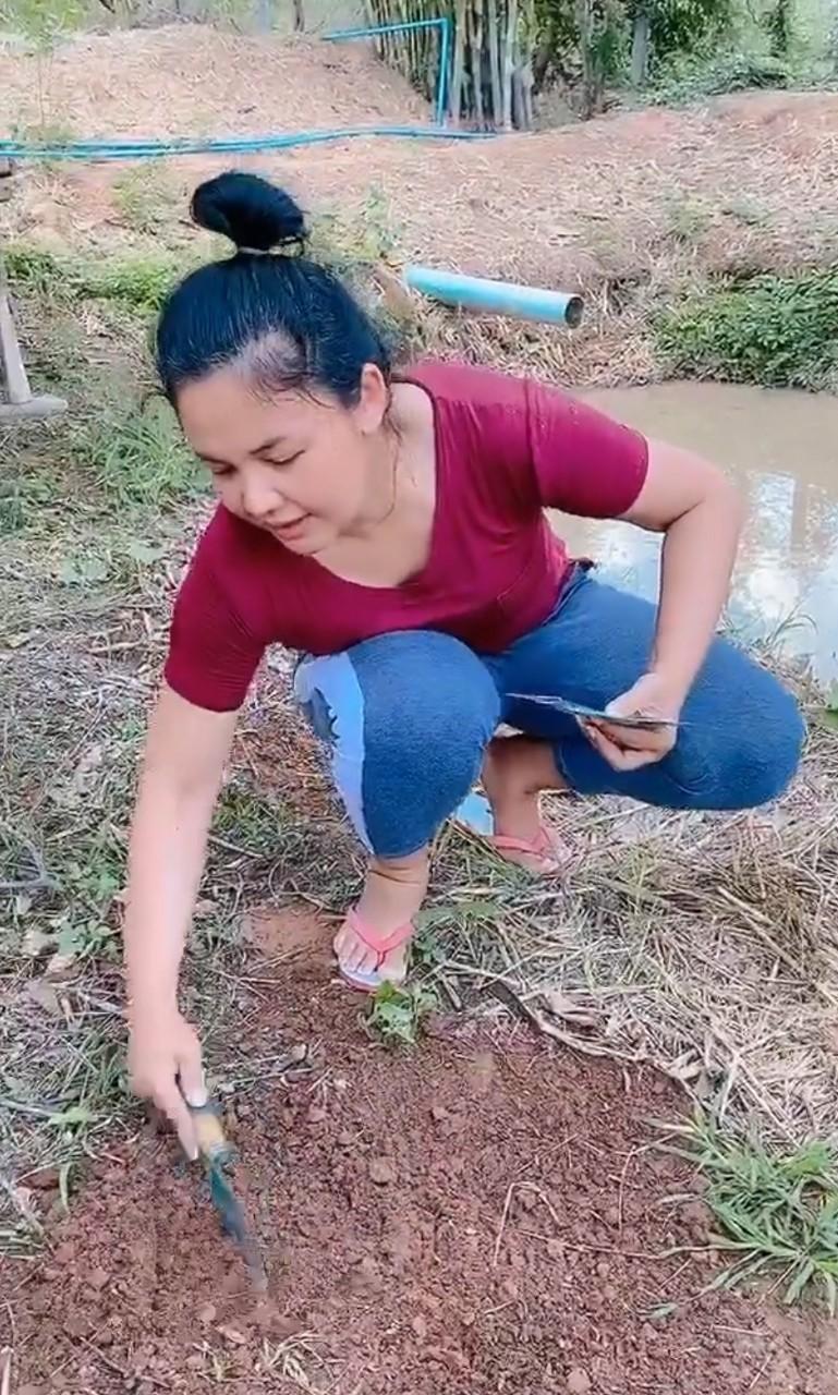 ตั๊กแตน ชลดา