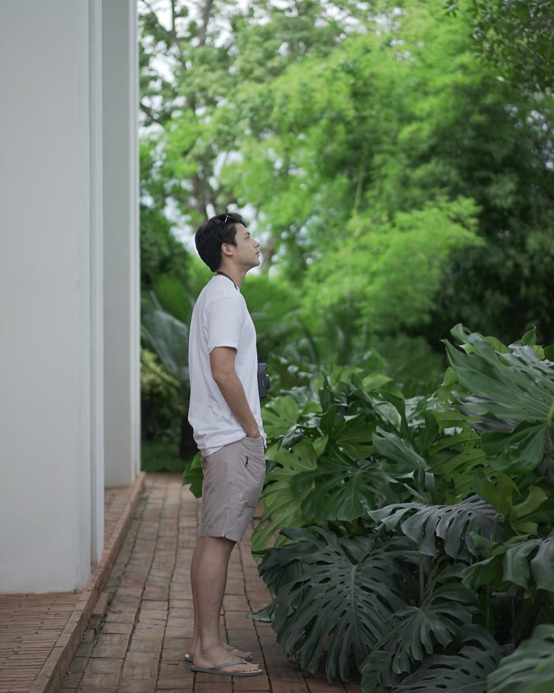 หมาก ปริญ