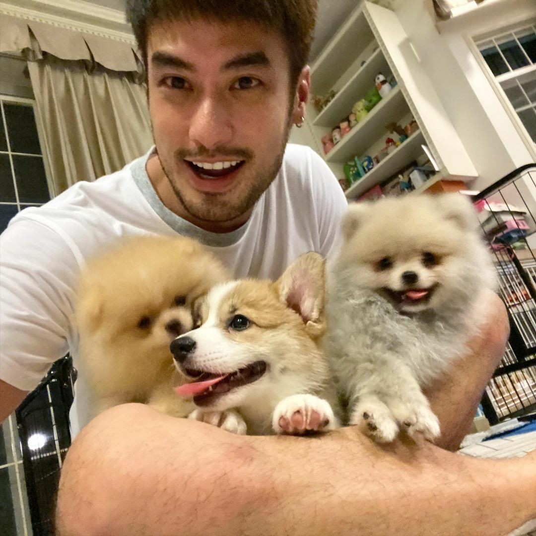 บอย ปกรณ์