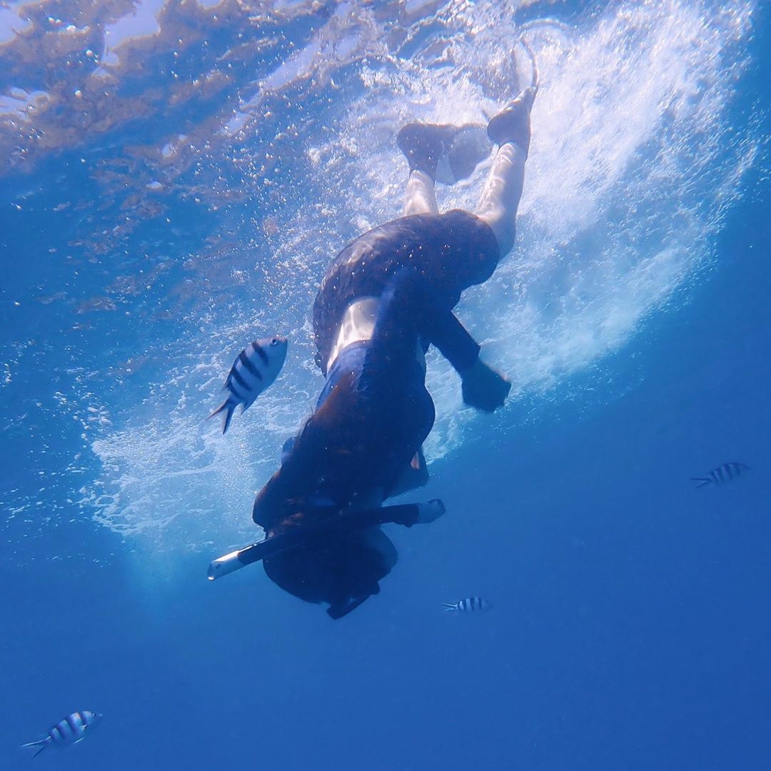 เวียร์ เบลล่า