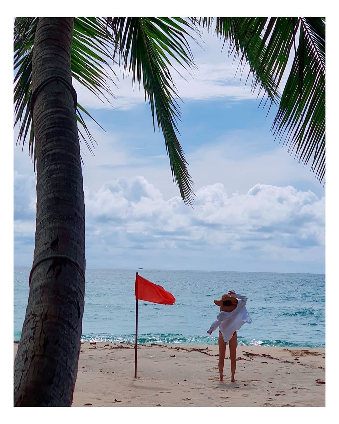 คริส หอวัง