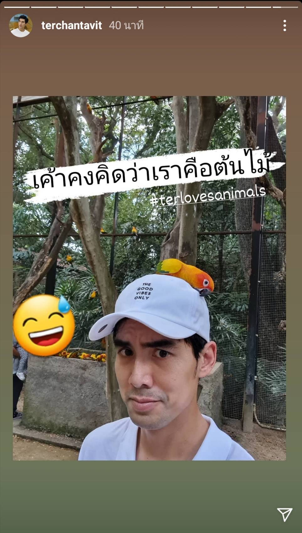 ใหม่ ดาวิกา - เต๋อ ฉันทวิชช์