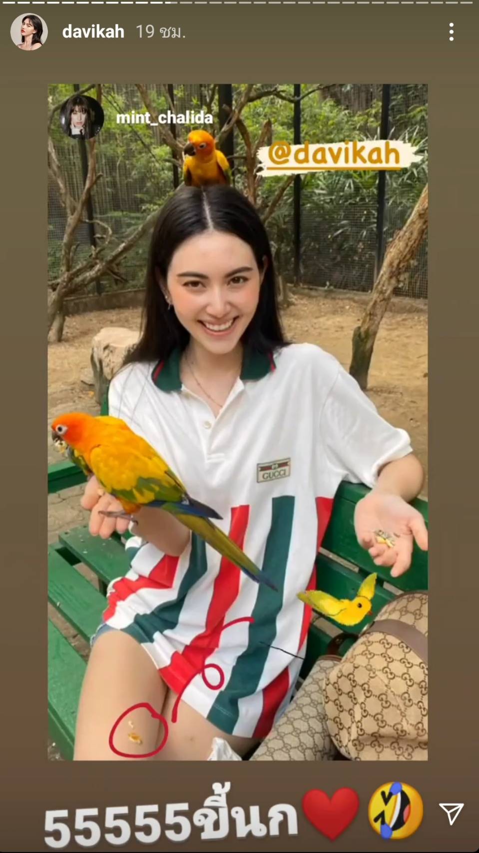 ใหม่ ดาวิกา - เต๋อ ฉันทวิชช์