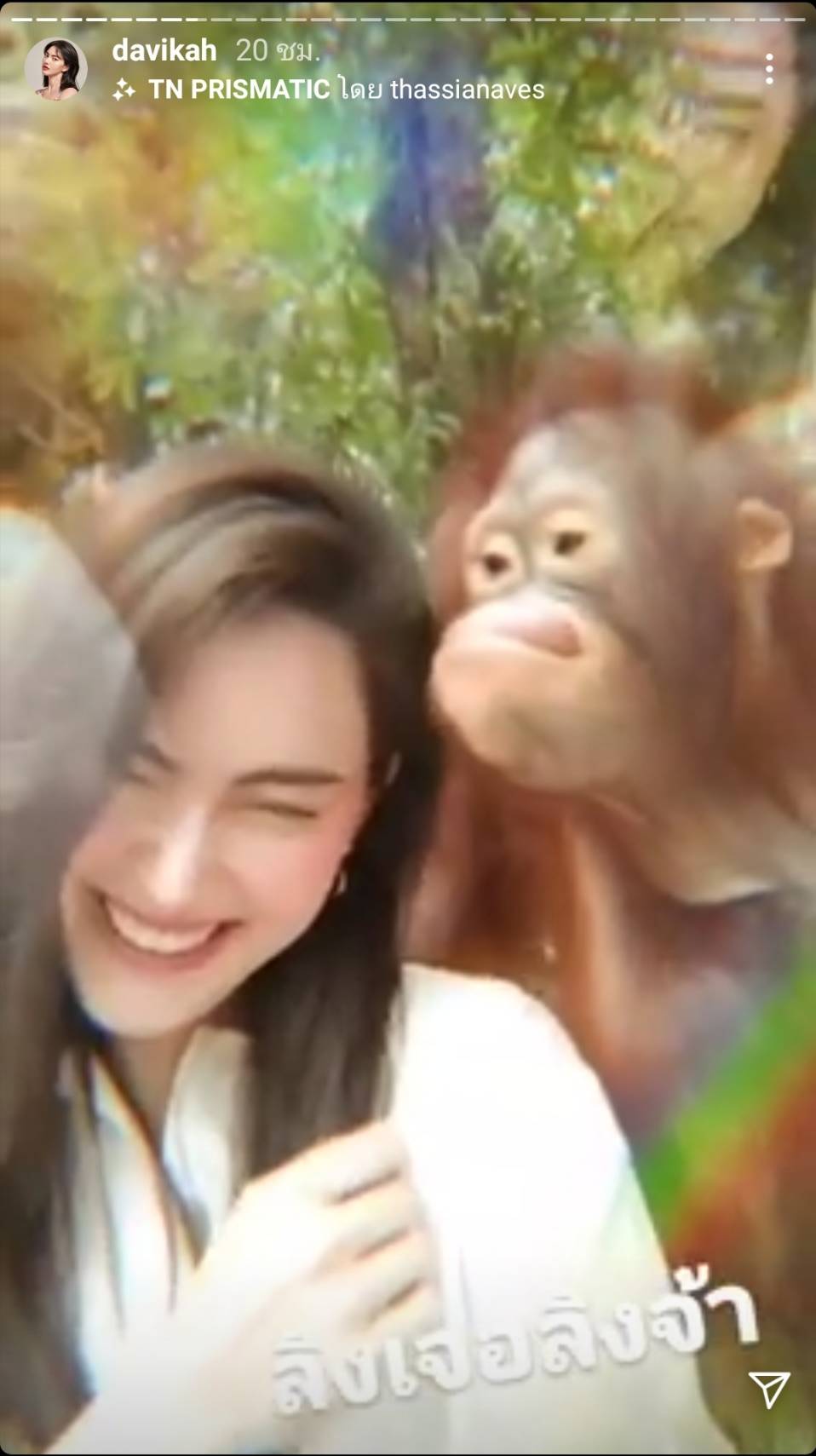 ใหม่ ดาวิกา - เต๋อ ฉันทวิชช์