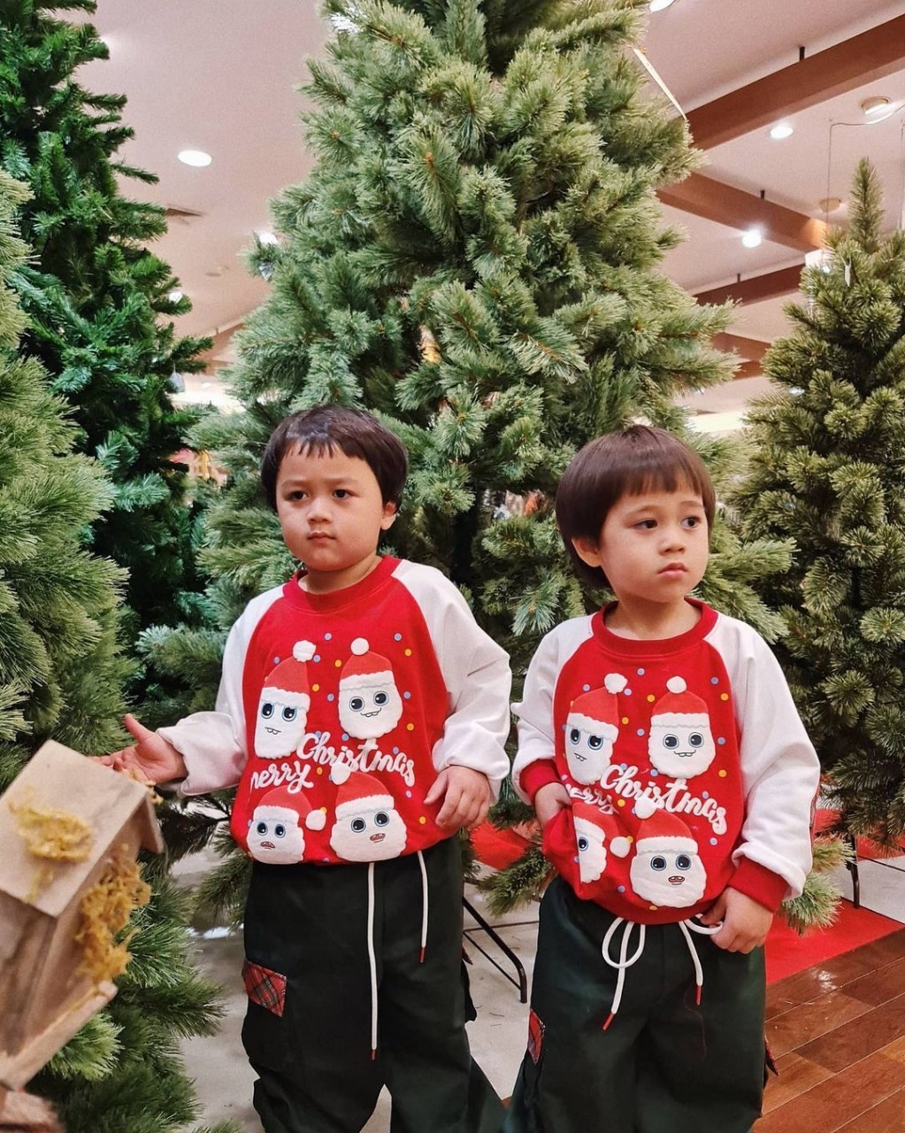 สายฟ้า พายุ ลูกชมพู่ อารยา