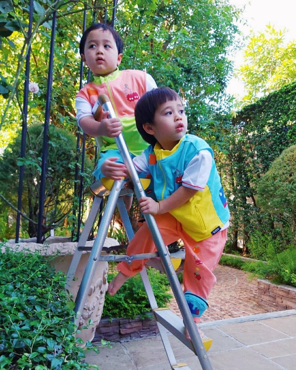 สายฟ้า พายุ ลูกชมพู่ อารยา