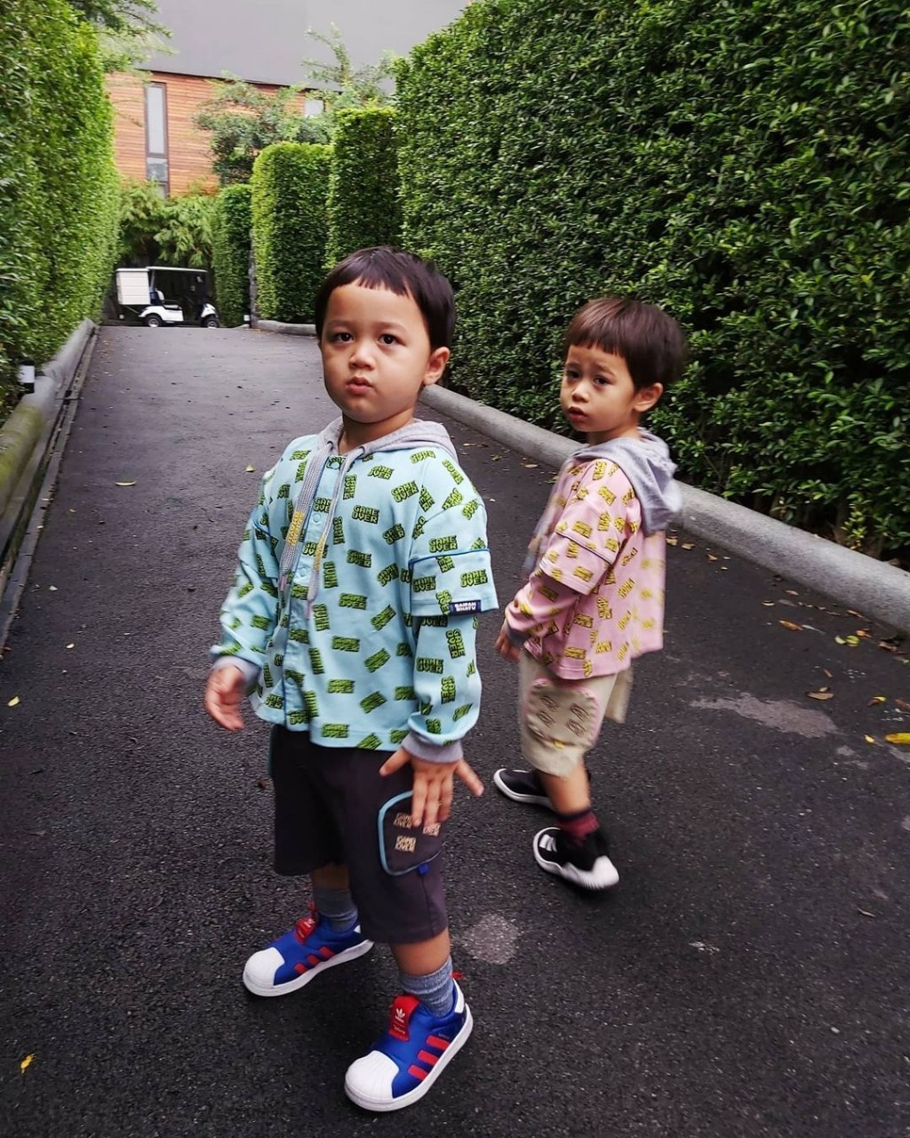 สายฟ้า พายุ ลูกชมพู่ อารยา