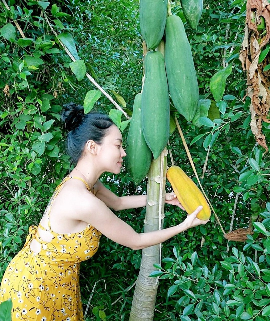 เอ็มมี่ แม็กซิม