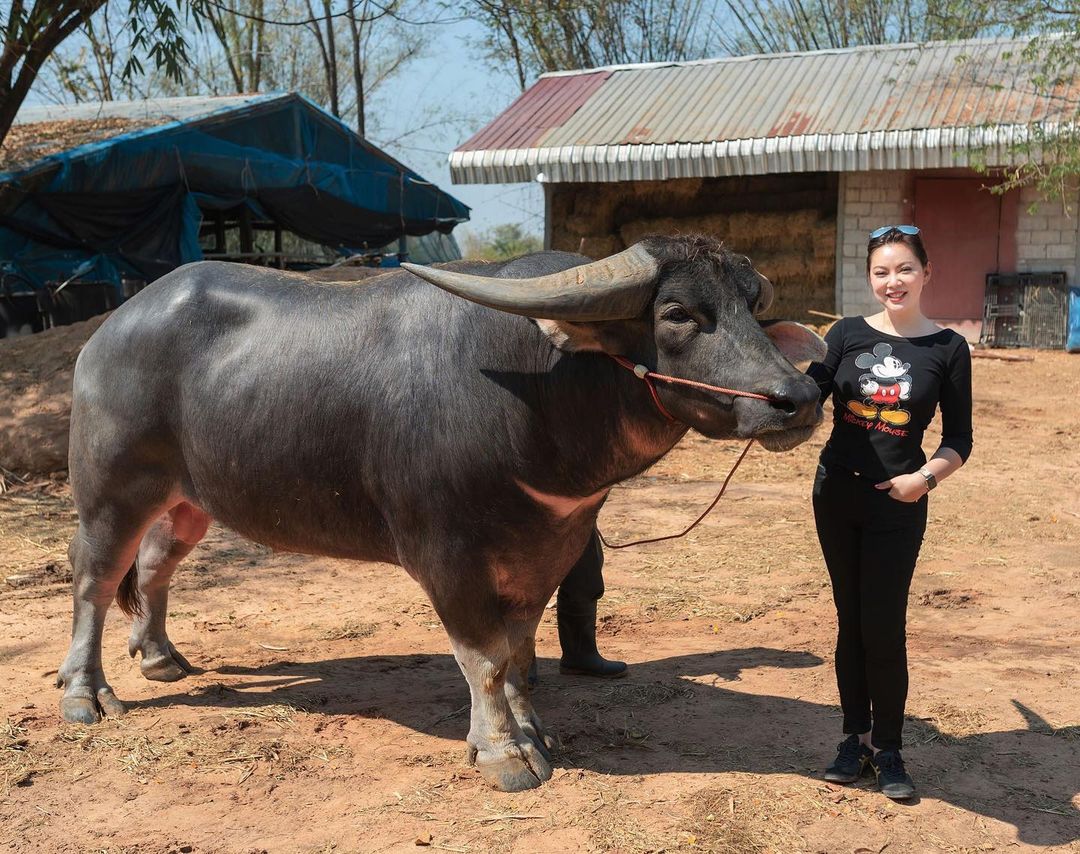 บุ๋ม ปนัดดา