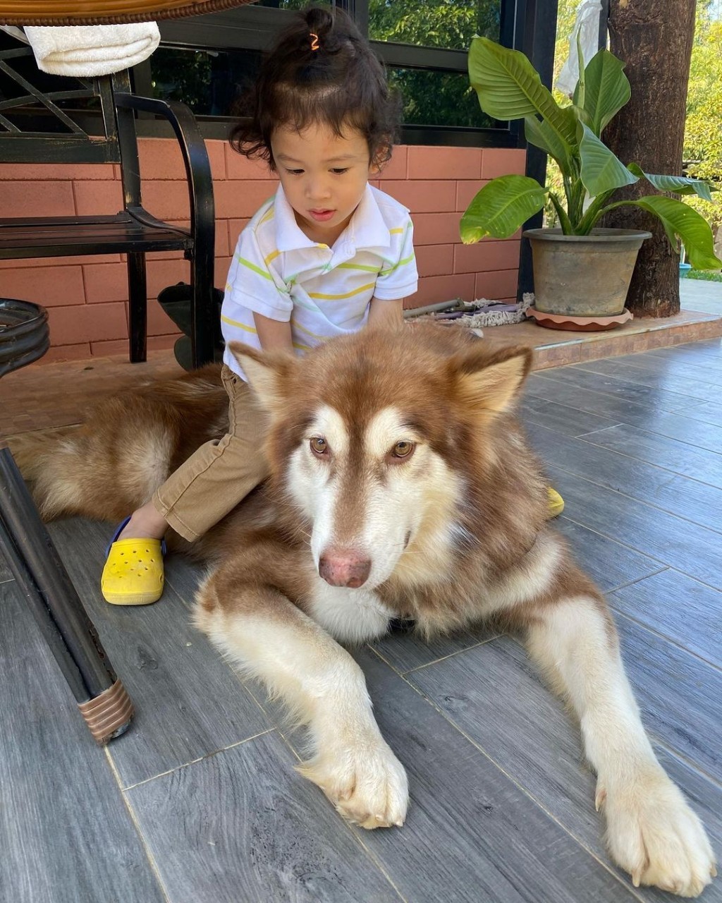 น้องโพธิ์ ลูกชาคริต แย้มนาม