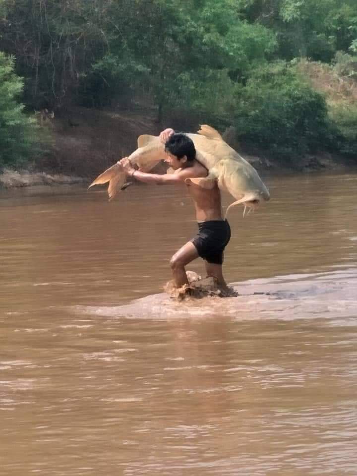 เศร้า พายุฝนชะสารพิษลงแม่น้ำเมย ปลาใหญ่น้อยลอยคอตายเพียบ