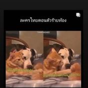 บี น้ำทิพย์