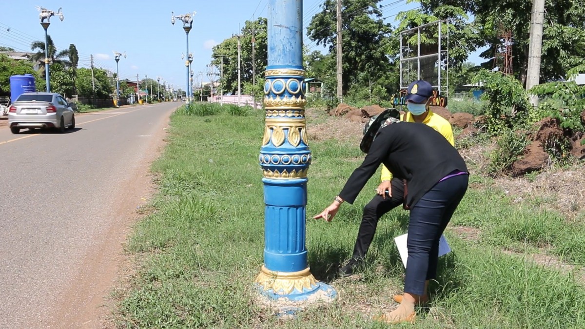 ป.ป.ช.ตรวจสอบเสาไฟช้างวิเชียรบุรี ราคาเสา 7,000 ราคาช้างตัวละแสน