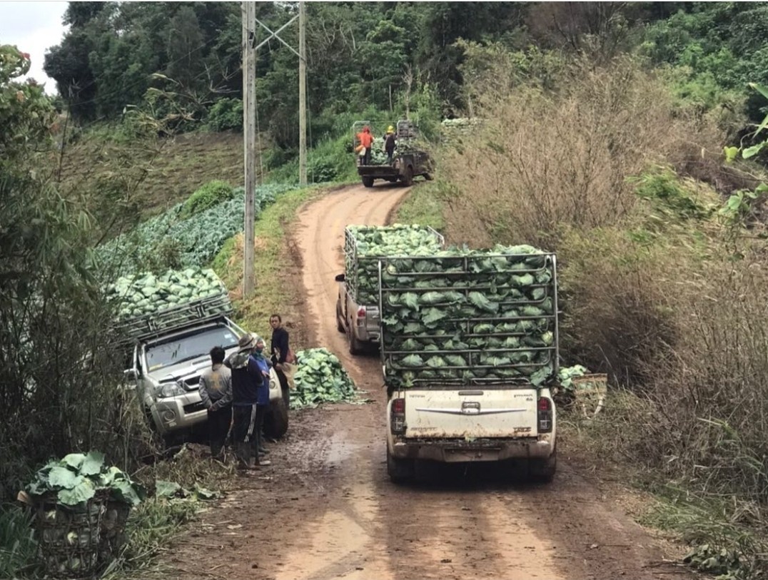 แอน ทองประสม