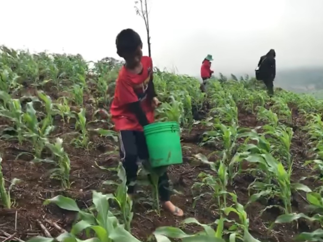 แอน ทองประสม