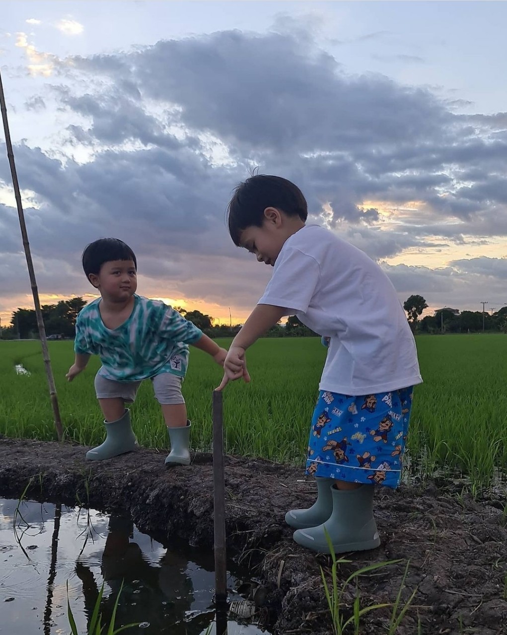 สายฟ้า พายุ