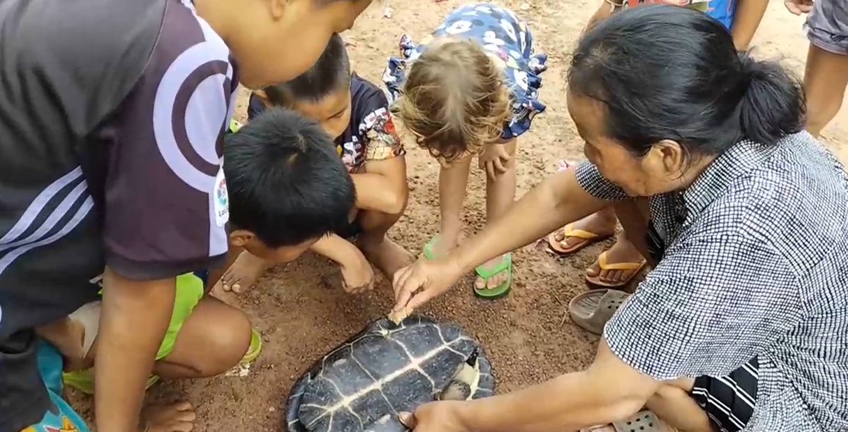 เต่าตัวใหญ่ซุกใต้ท้องรถ เชื่อมาให้โชคลาภ เปิดสถิติงวดที่แล้วก็ตรงเลขท้าย 2 ตัว