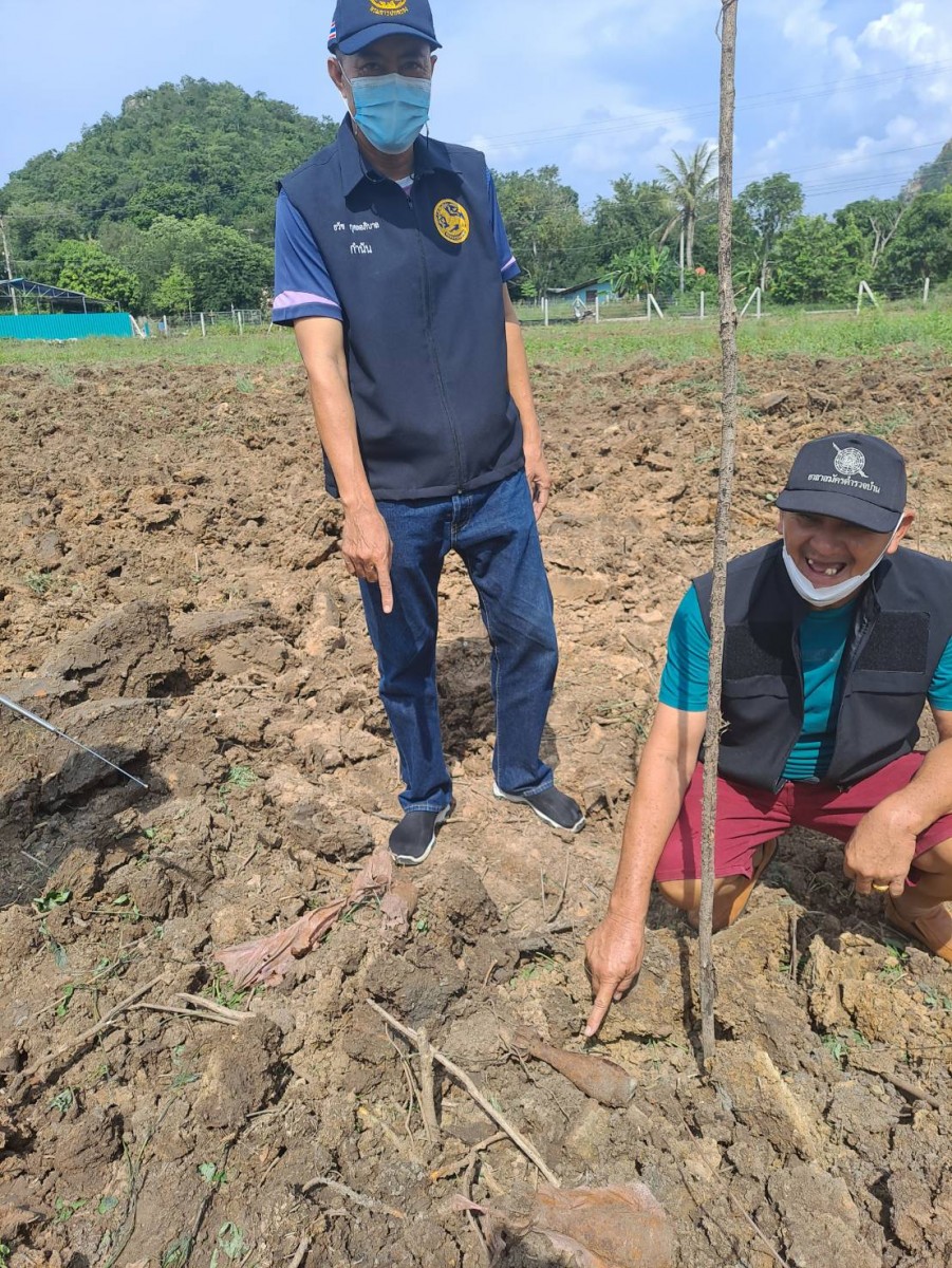 หวิดบึ้ม ชาวบ้านราชบุรี รับจ้างไถที่​ เจอระเบิดสงคราม​ 3​ ลูกกลางทุ่งนา