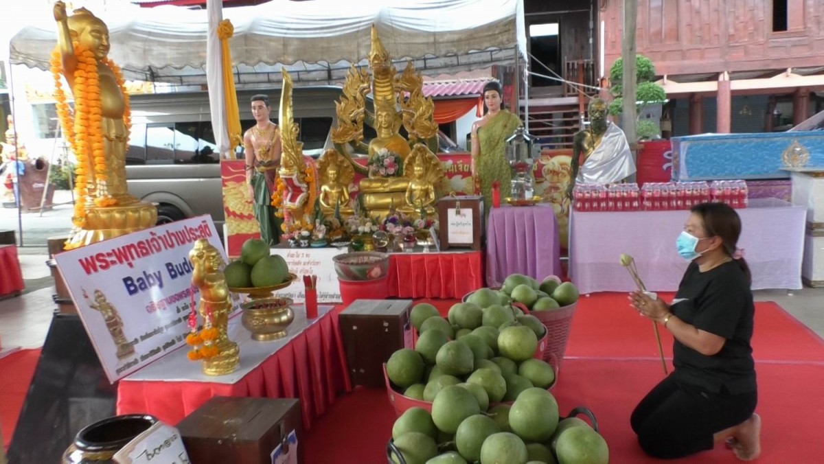 เจ้าของสวนถูกหวย 10 ใบ ขนส้มโอนับร้อยลูก ถวายพระพุทธเจ้าน้อย