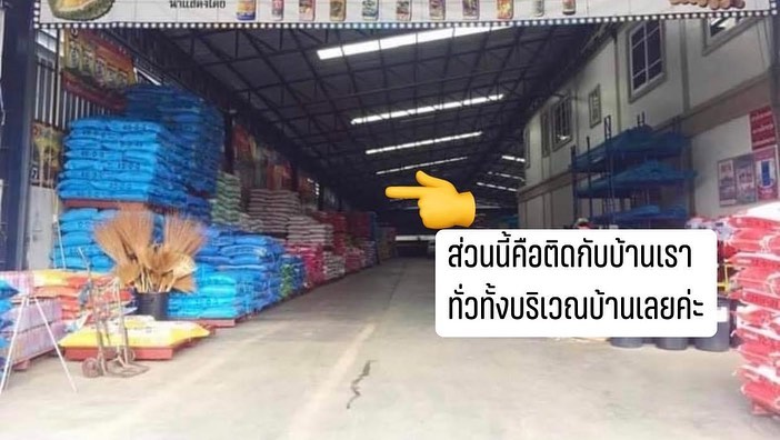 นุช วิลาวัลย์