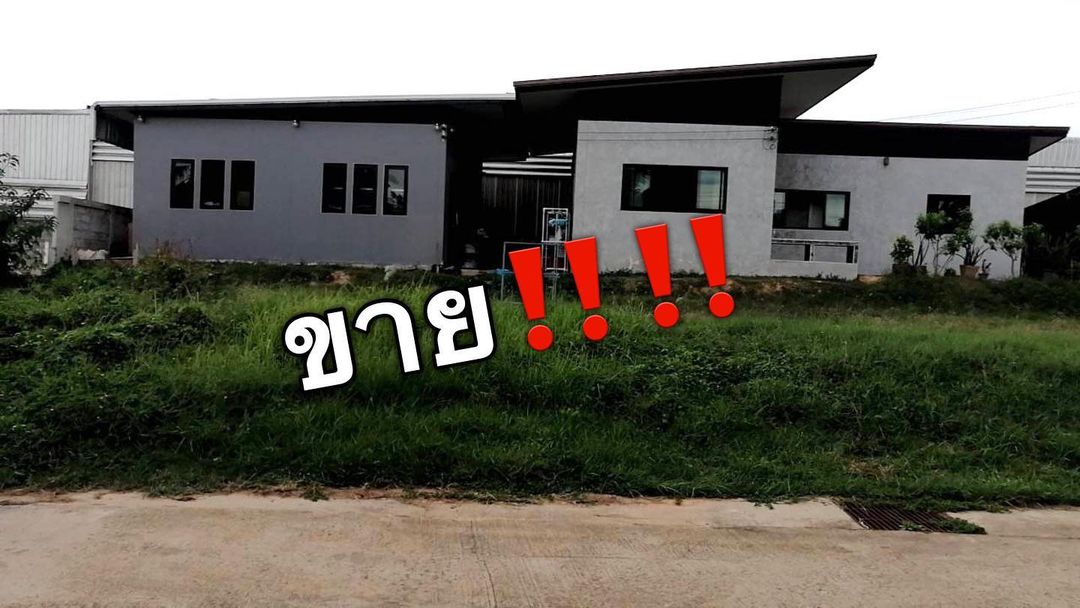 นุช วิลาวัลย์