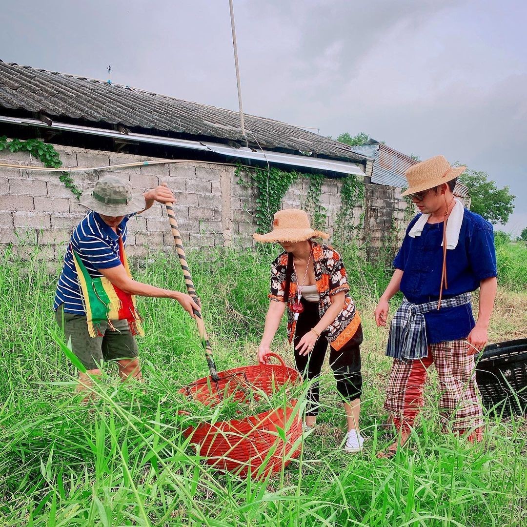 ซี เอมี่