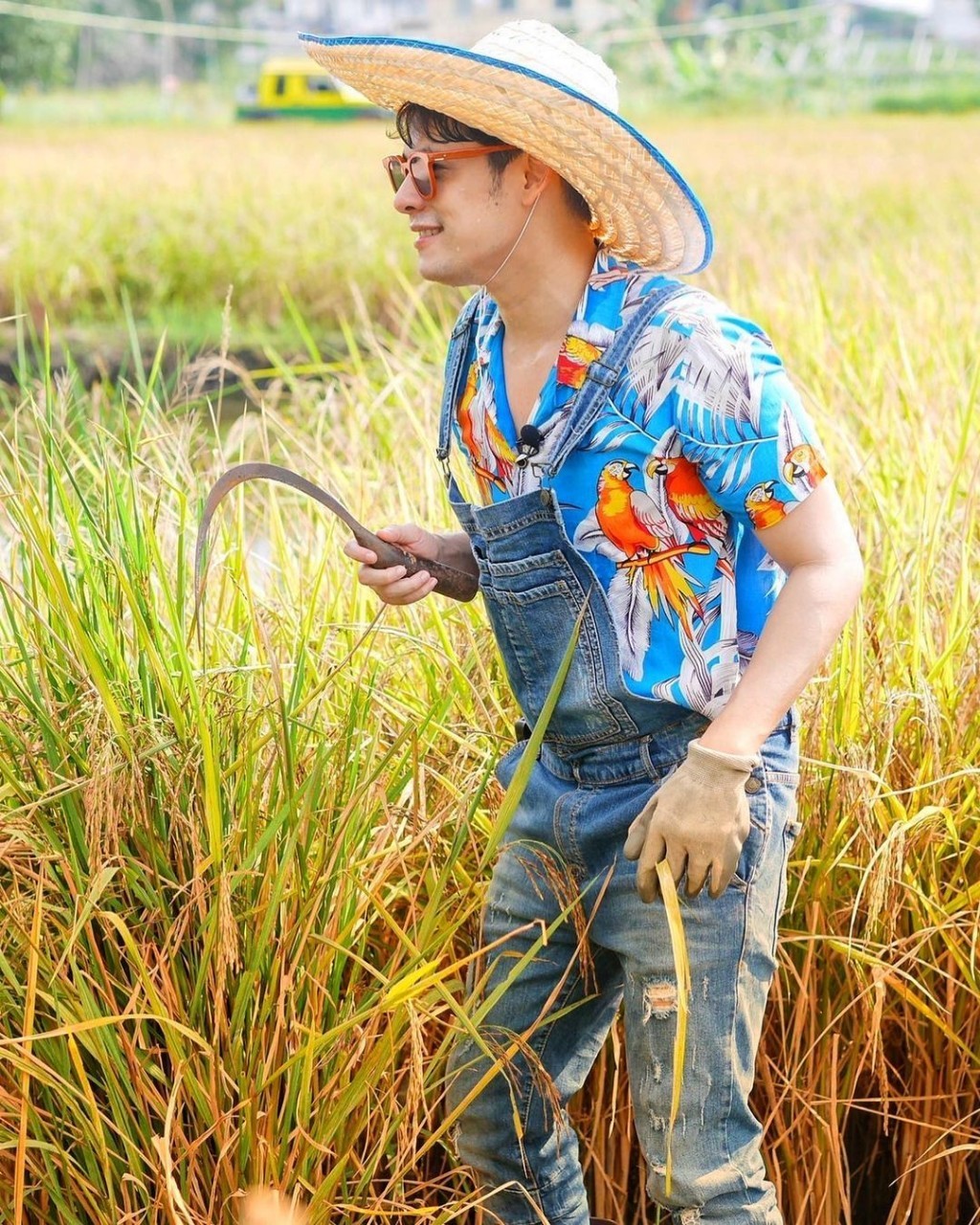 ซี เอมี่