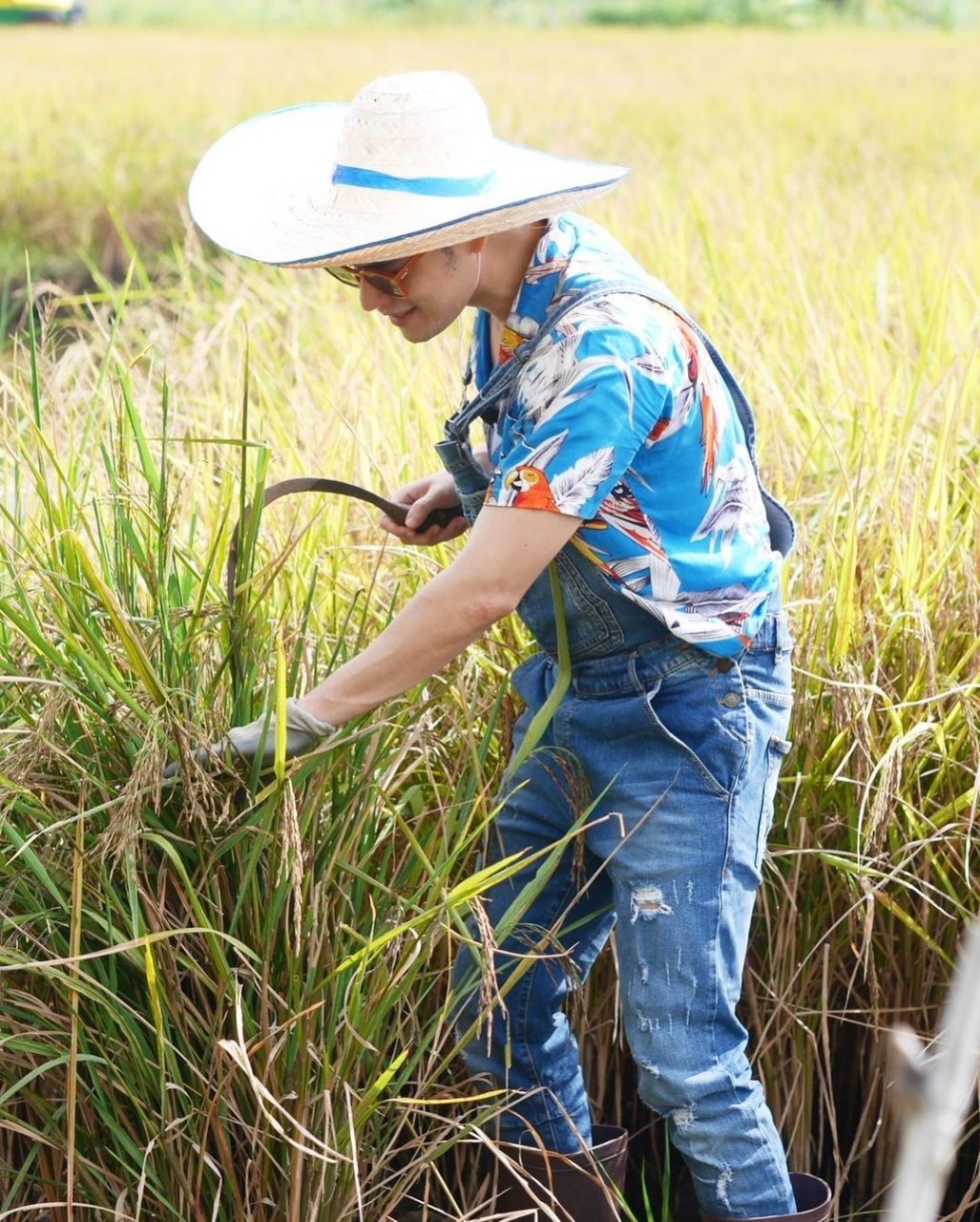 ซี เอมี่