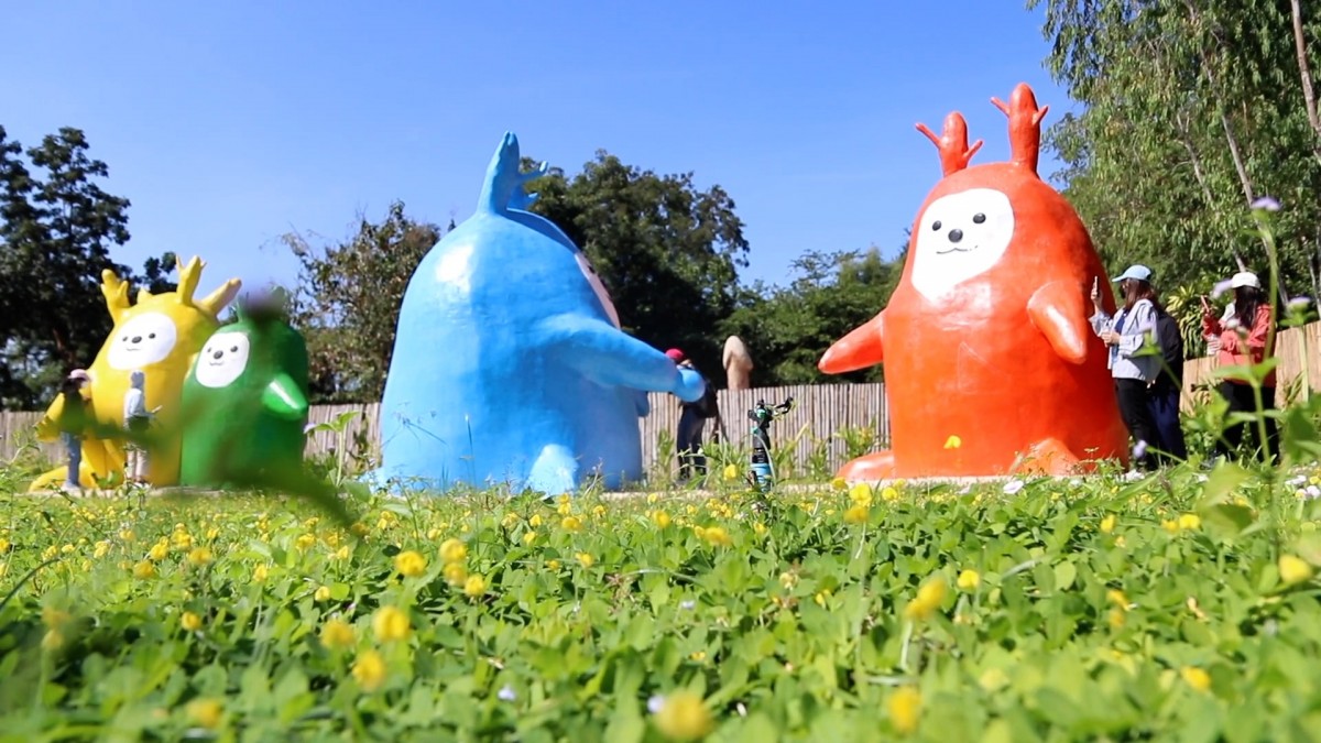 ท่านอ่านไม่ผิด นักท่องเที่ยวแห่ชม ทุ่งกระเจี๊ยวยักษ์ จ.ขอนแก่น หนึ่งเดียวในโลก