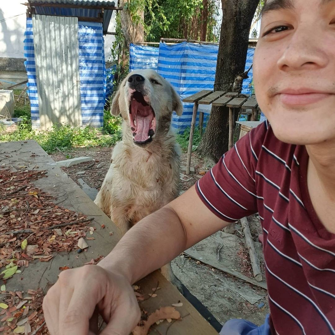 แน็ก ชาลี