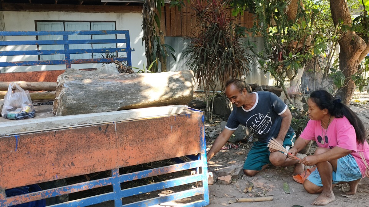 ชาวบุรีรัมย์แห่ไหว้ไม้กลายเป็นหิน ลือกันว่า เห็นแสงประหลาดตอนกลางคืน ขอโชคลาภกันคึกคัก