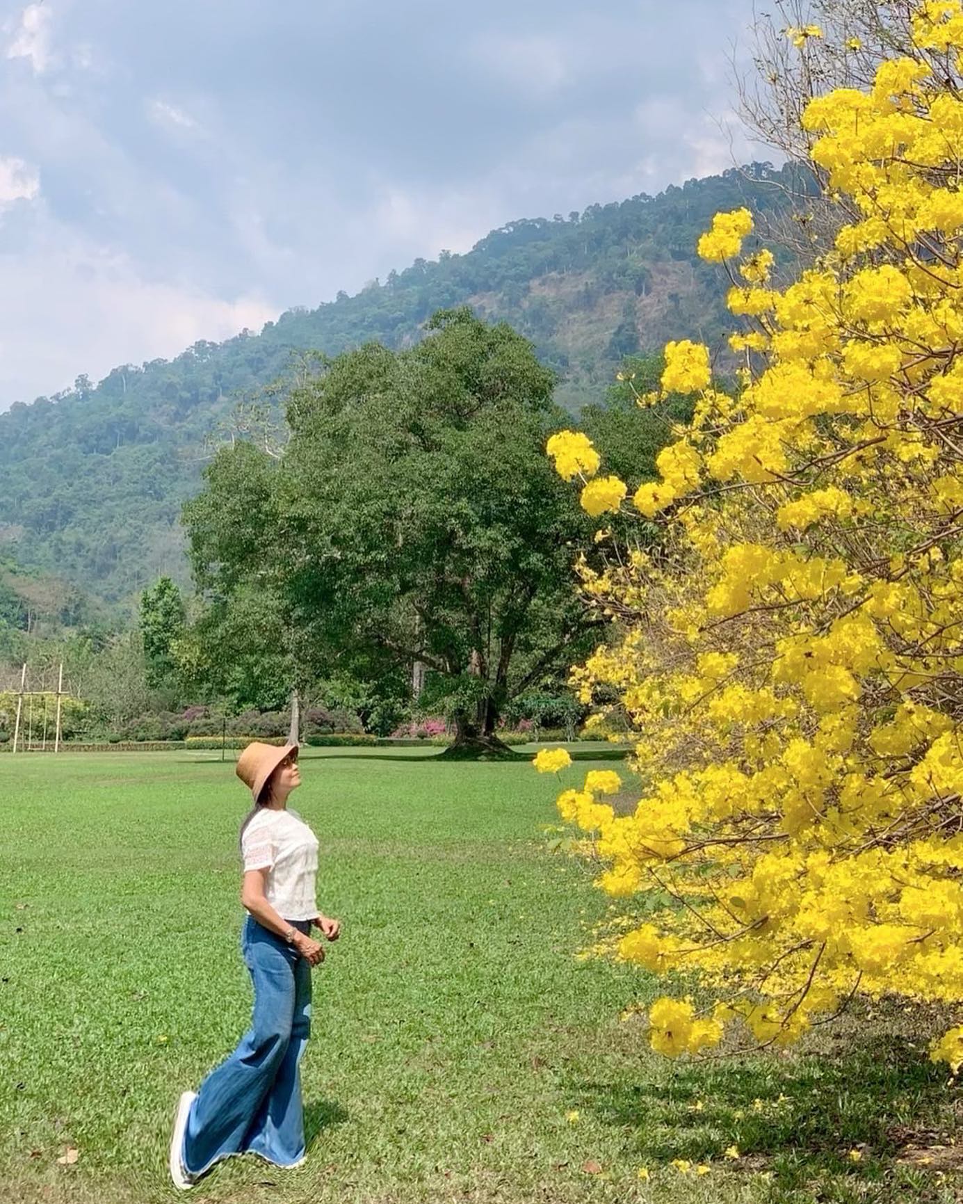 แม่แก้ว