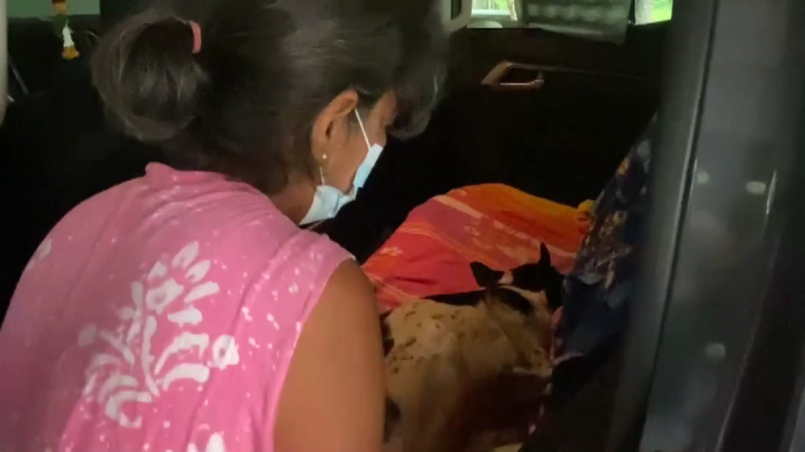 1-วอชด๊อกไทยแลนด์แจ้งความจับลุงวัย 79 ปีหลังตีสุนัขวัย 5 เดือนปางตายเหตุย่องกัดไก่คาเล้า ก่
