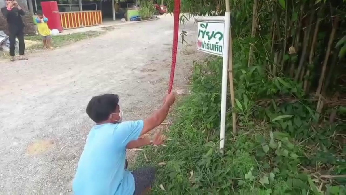 ชาวโพธารามจุดประทัด 1 แสนนัด ฉลอง ปารีณา ถูกตัดสิทธิ์ทางการเมือง หวังฟ้าเปิดได้ผู้แทนใหม่