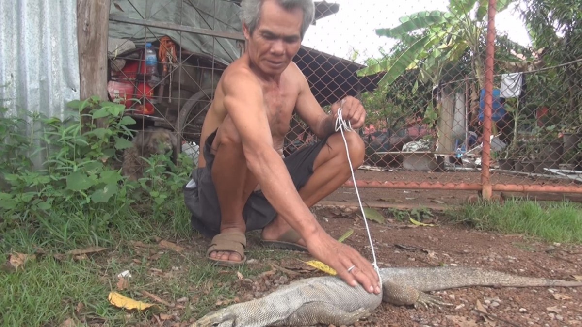 เชื่อมาให้โชคลุงวัย 66 วิ่งไล่จับตะกวดเข้าห้องนอนมาลูบแป้งขอเลขเด็ด