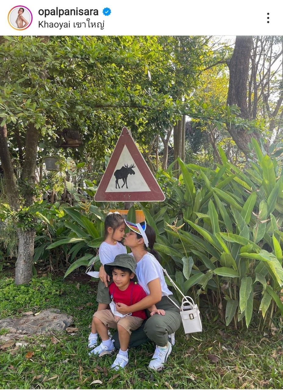 ลูกแฝดดารา