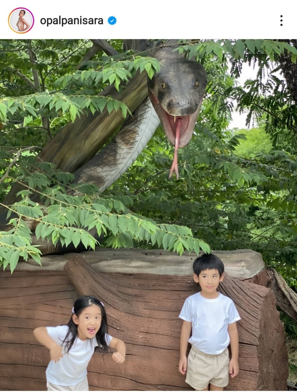 ลูกแฝดดารา