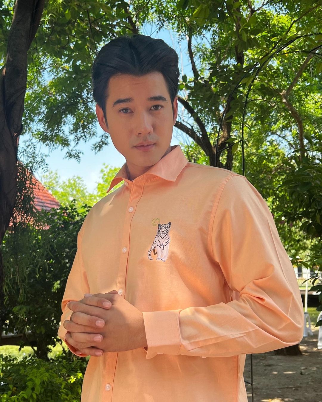 มาริโอ้ เมาเร่อ