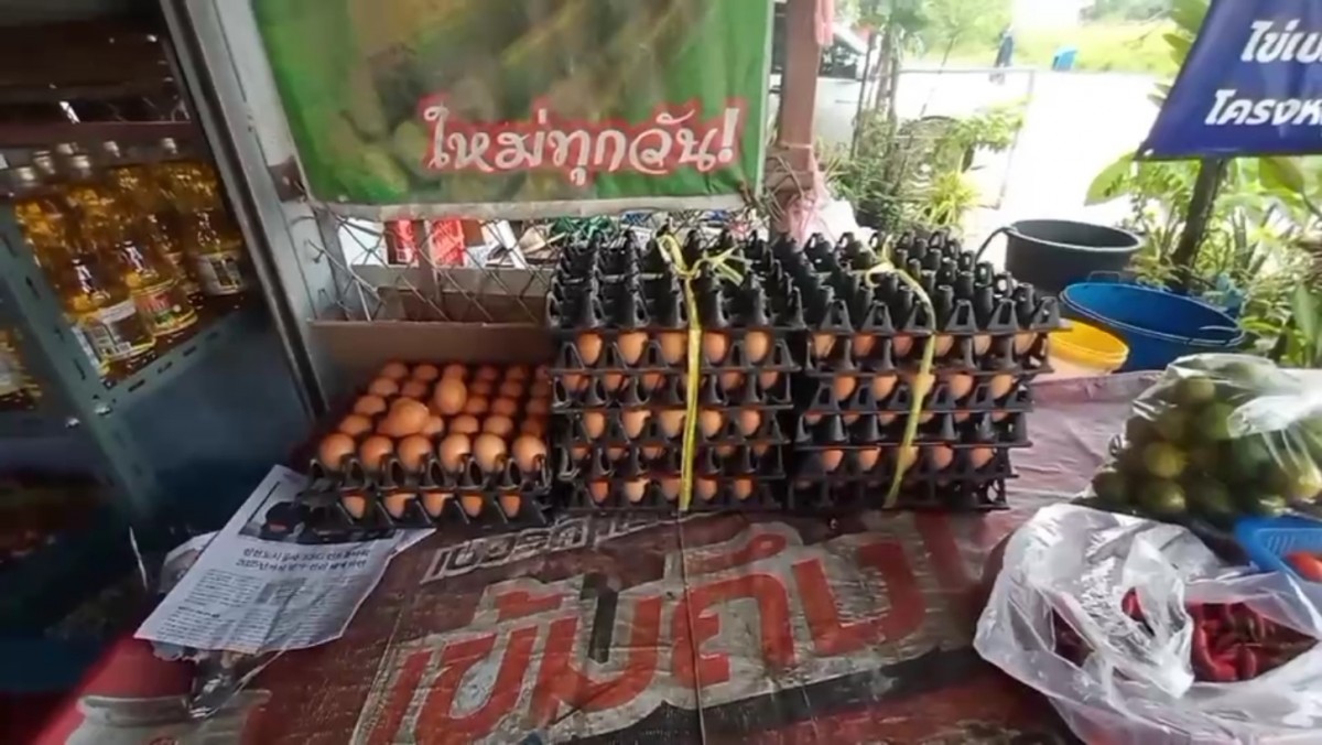 โดนอีกราย แม่ค้าไข่ไก่เขาไม้แก้วถูกเชิดไข่ไก่20แผงยืนยันรถกระบะที่ใช้คันเดียวกัน