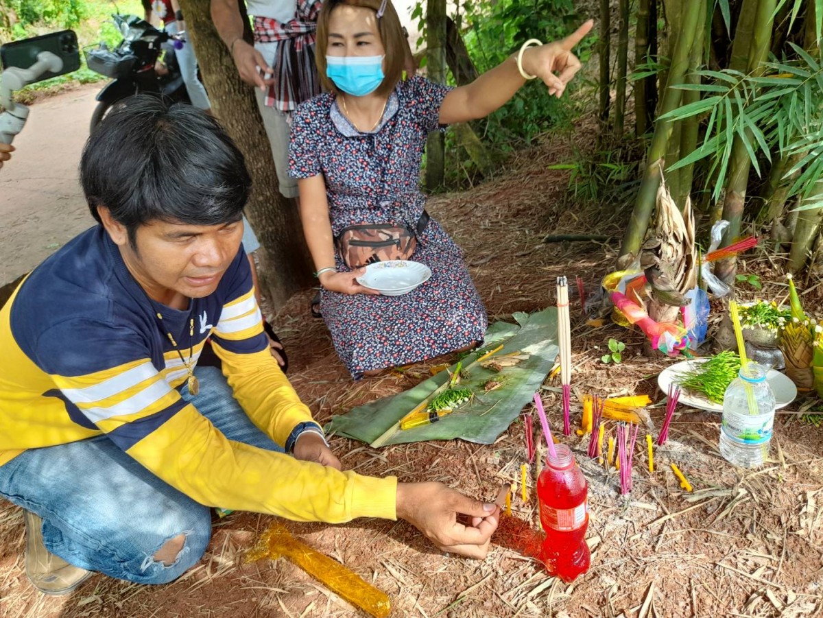 หน่อไม้เศียรพญานาคให้โชค